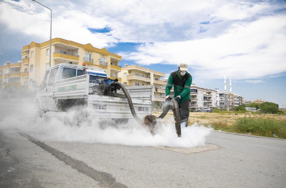 Mersin'de sinek ve haşerelere karşı yoğun mesai