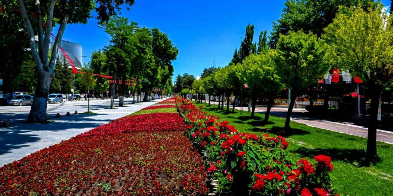 Malatya’da park ve kavşaklar çiçeklerle süslendi