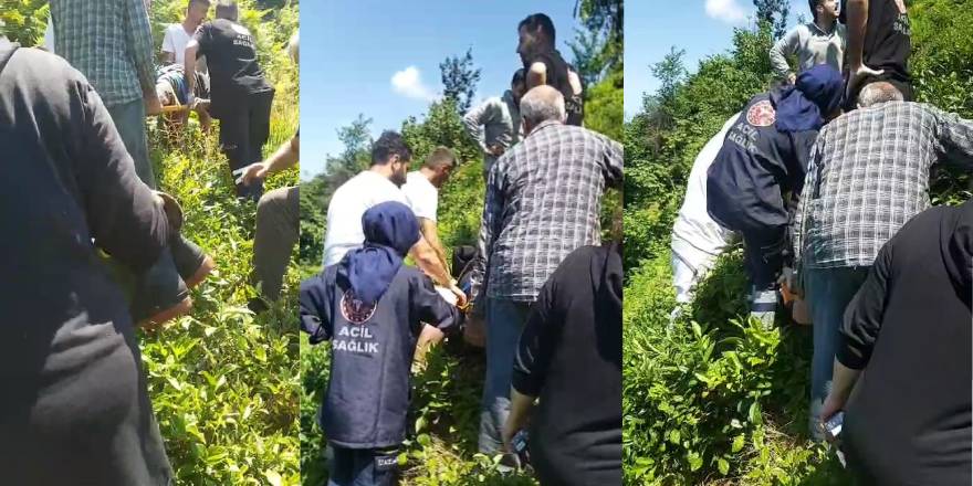 Kiraz toplamak için çıktığı ağaçtan düştü