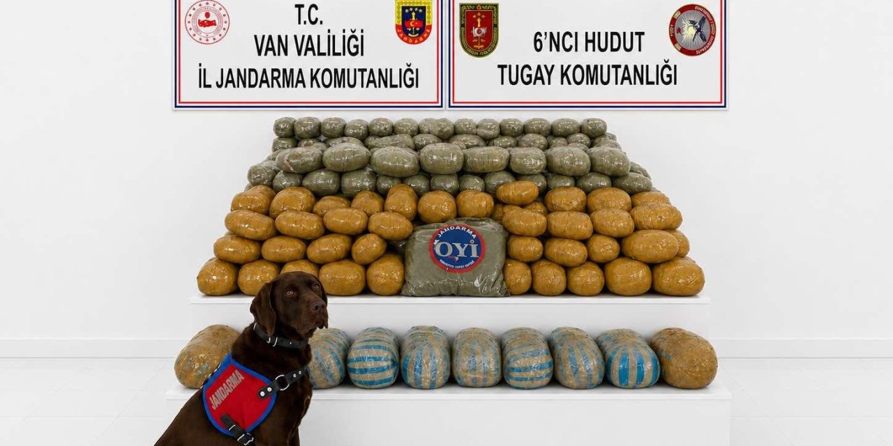 Van’da 291 kilogram toz esrar ele geçirildi