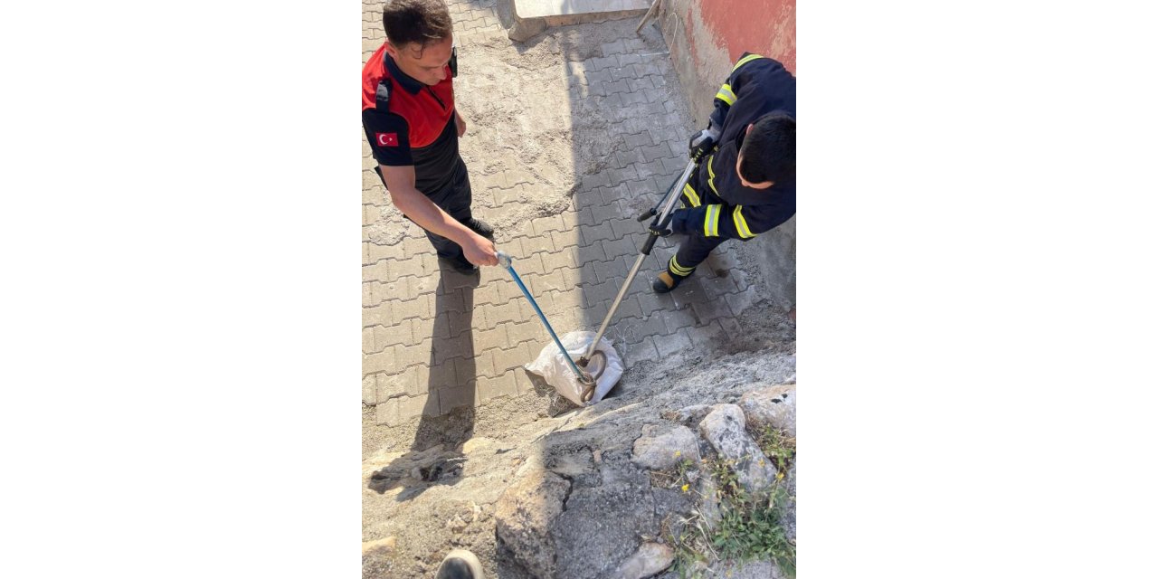 Siirt'te 1 buçuk metrelik yılan evin bahçesinden çıktı