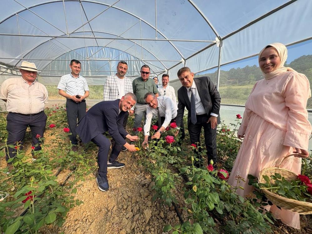 Kadın girişimci hibe desteğiyle Kocaeli'nin ilk gül serasını kurdu