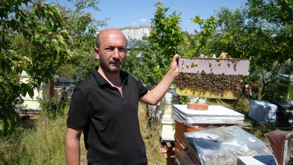 Korkmadan temas edebildiği arılarla 5 senedir birlikte yaşıyor