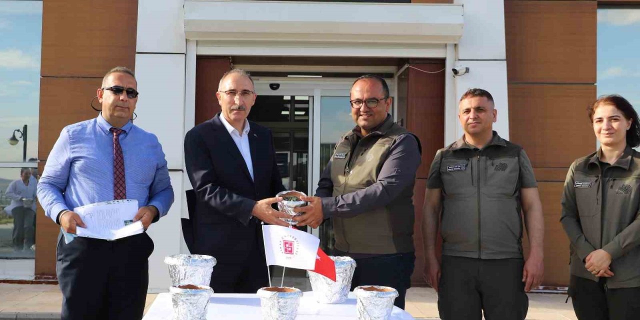 FÜ’de üretilen endemik bitkiler doğaya kazandırılıyor