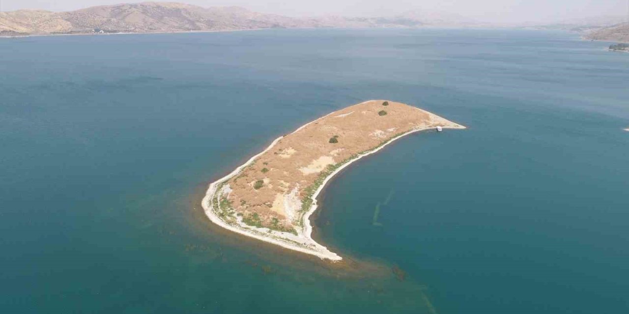 MASSAD, Tavşan Adası için projelerini sıraladı