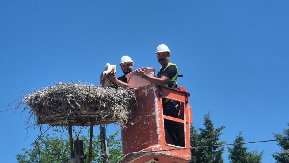 Tekirdağ'da Leylek Festivali
