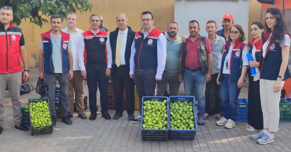 Aydın’ın dünya markası inciri için sahada yoğun mesai