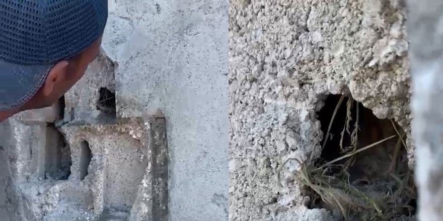 Kars’ta sıva altından gelen ses hayat kurtardı: Usta duvarı kırıp kuş yavrularını kurtardı
