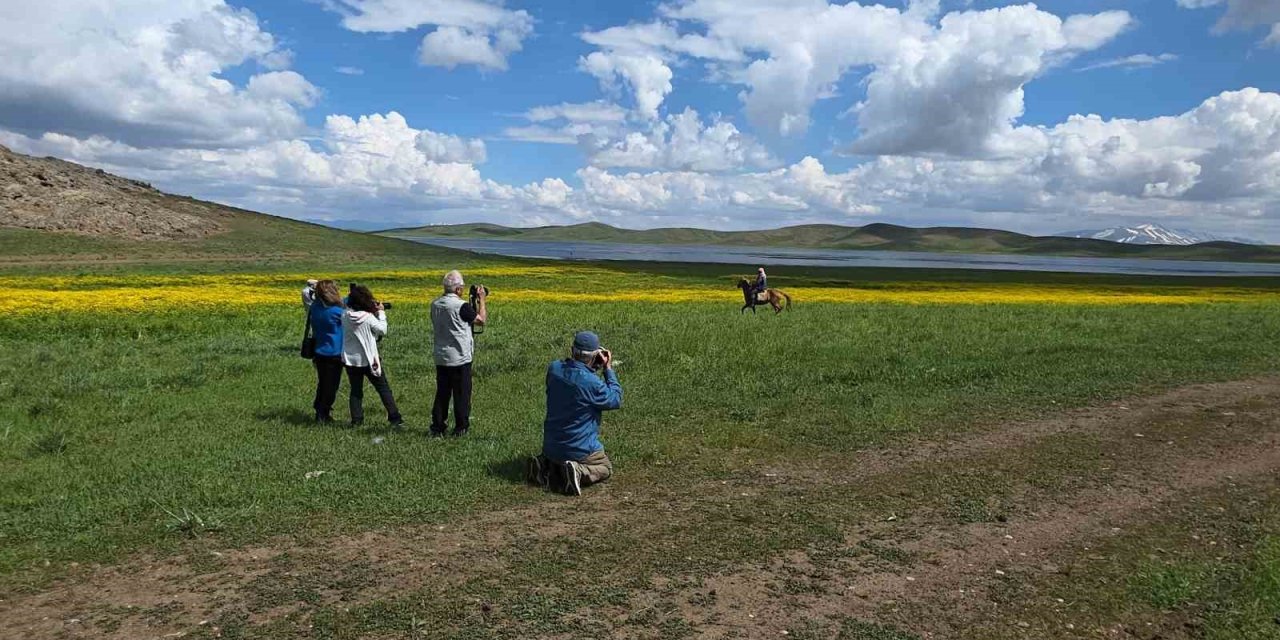 Doğa için deklanşöre bastılar: Dostlar Fotoğraf Grubu Van’ın sulak alanlarını fotoğrafladı