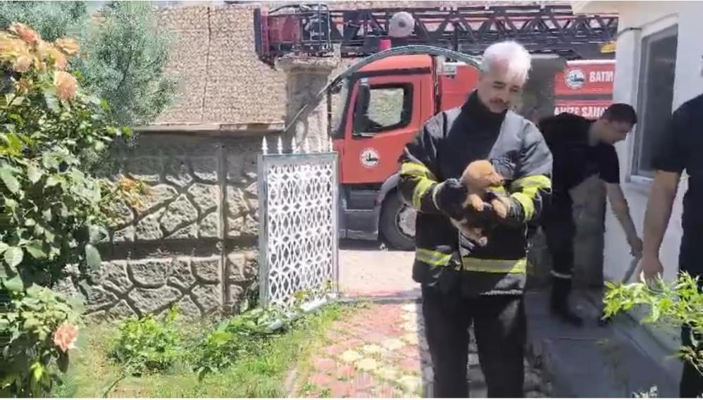 Duvar Arasına Sıkışan Köpek Kurtarıldı, Fabrika Çalışanları Sahiplendi