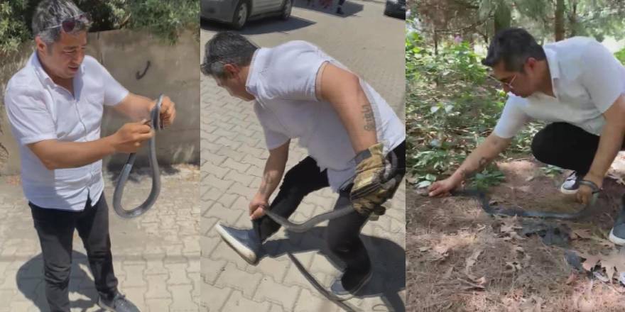 Yılanı kurtarmaya çalışırken kendisi hedef oldu