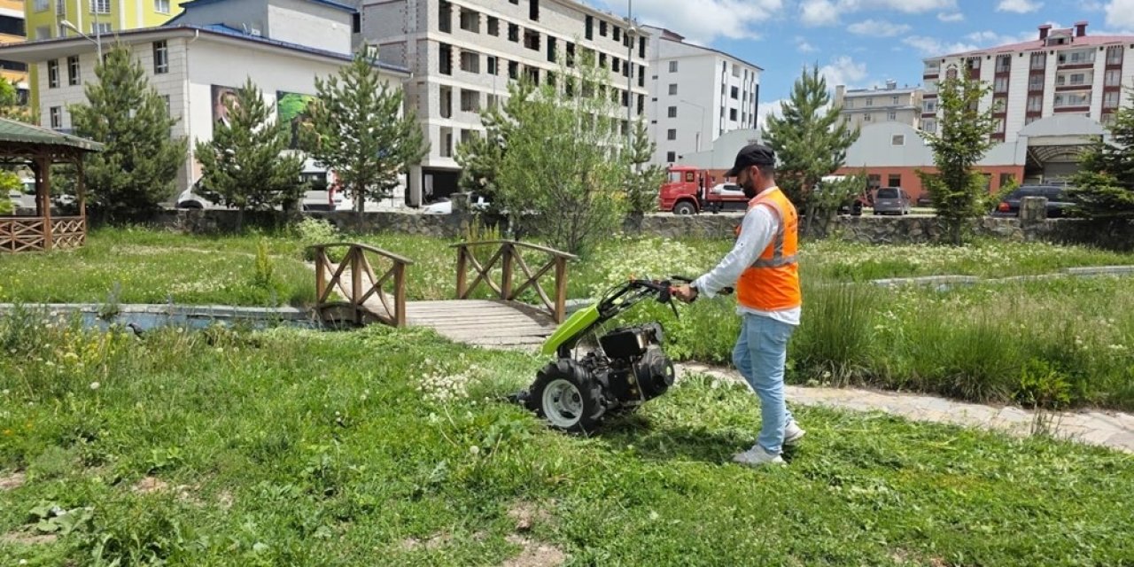 Belediye ekiplerinden yaz temizliği