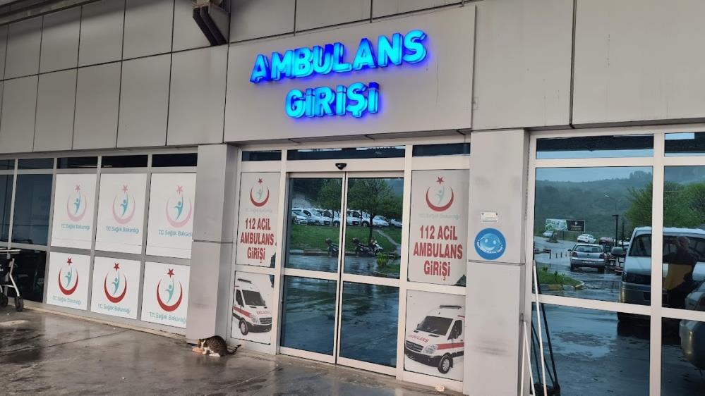 Ihlamur Toplarken 7 Metreden Düştü: Ölümden Döndü