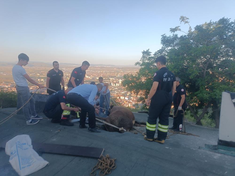 Otlamaya Çıktı, Evin Çatısında Mahsur Kaldı