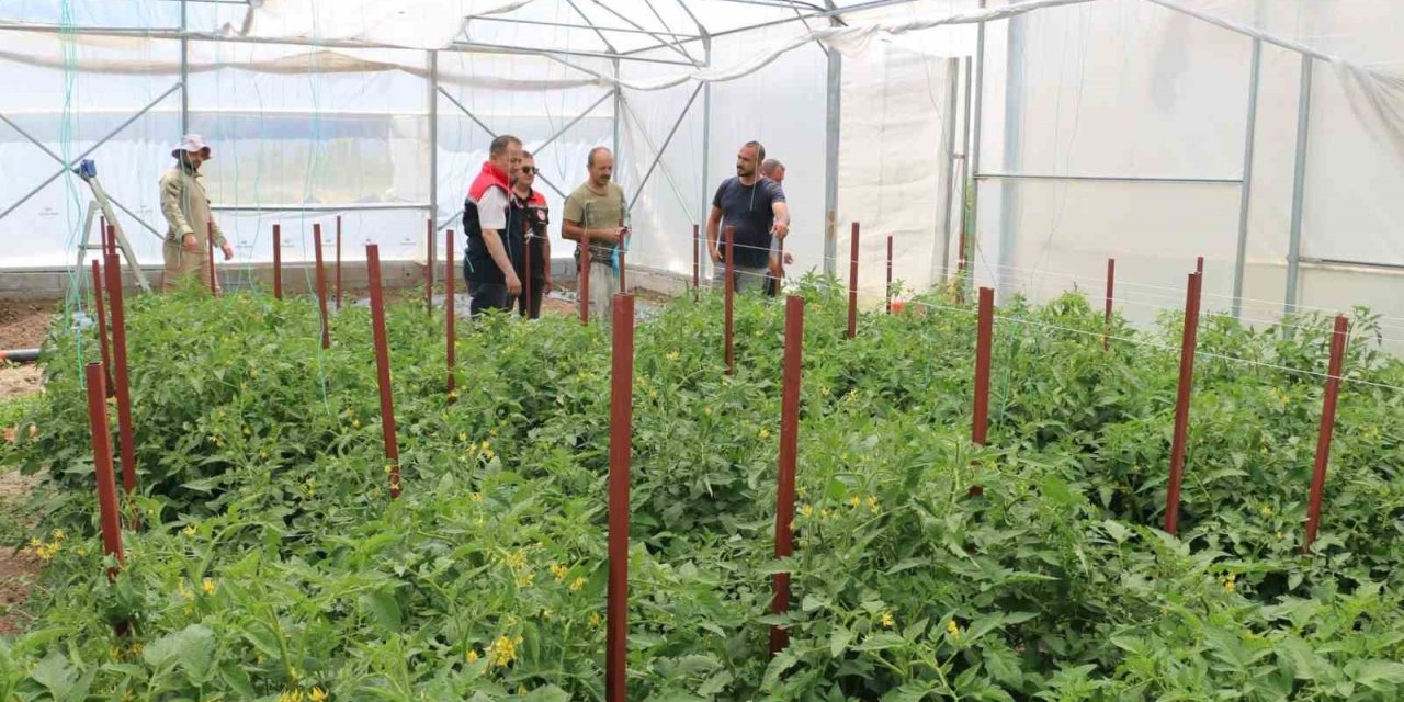 Erzincan’da seracılık yatırımları üretimi artırıyor