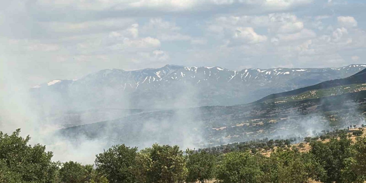 Bingöl’de çıkan orman yangını büyümeden kontrol altına alındı