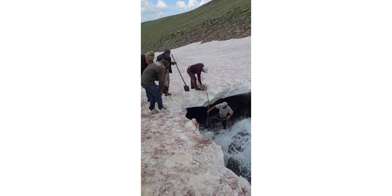 Tortum’da buzullarda dana kurtarma operasyonu
