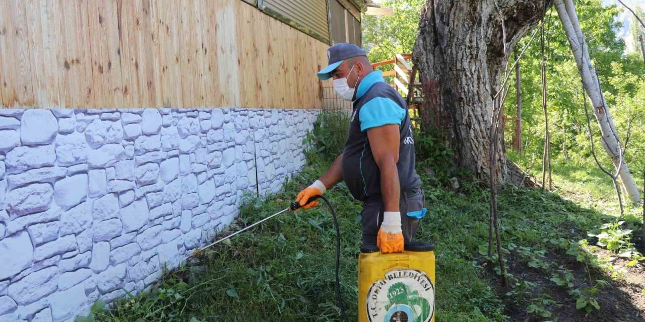 Oltu Belediyesi’nden kene ile mücadelede yoğun mesai