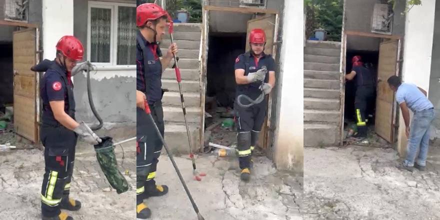 Bahçede Paniğe Neden Olan Yılan Yakalandı