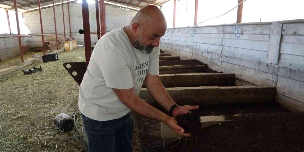 Bahçesinde ürettiği solucan gübresi gelir kaynağı oldu