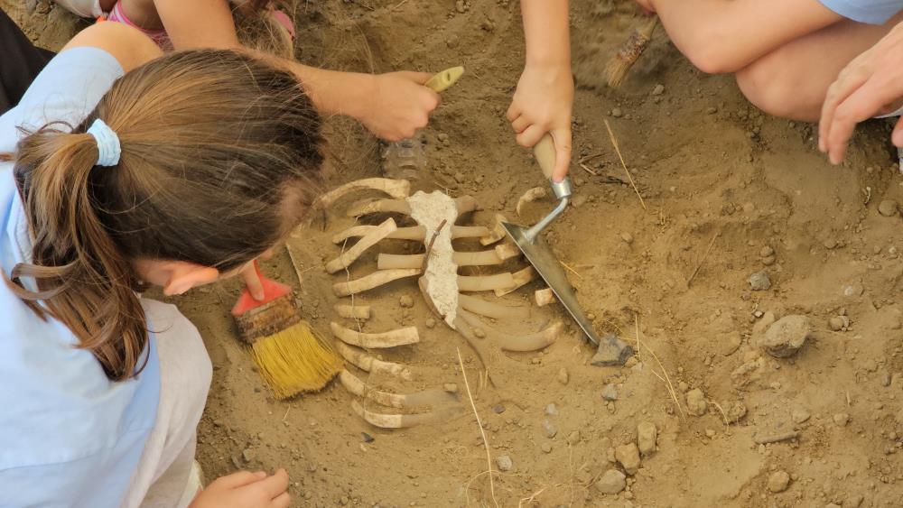 Zonguldak'ta çocuklar arkeolojik kazı heyecanı yaşadı