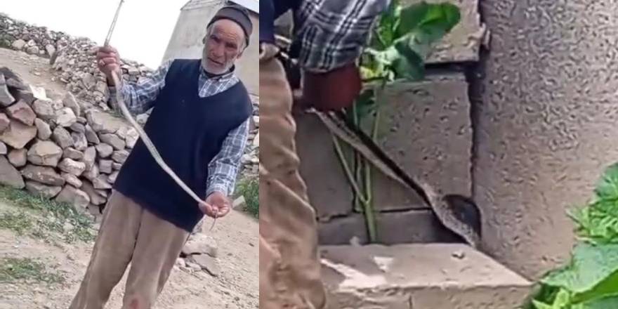 Iğdır'da eve girmeye çalışan yılanı çıplak elle yakaladı