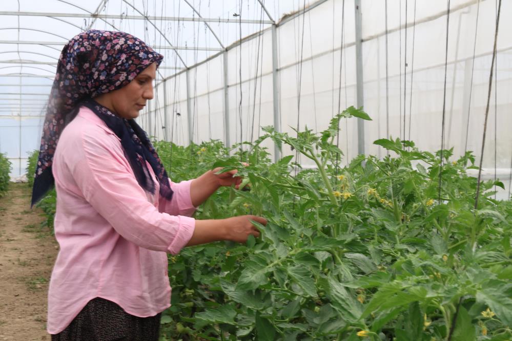 Kadınların emeği çorak toprağı üretim merkezine dönüştürdü