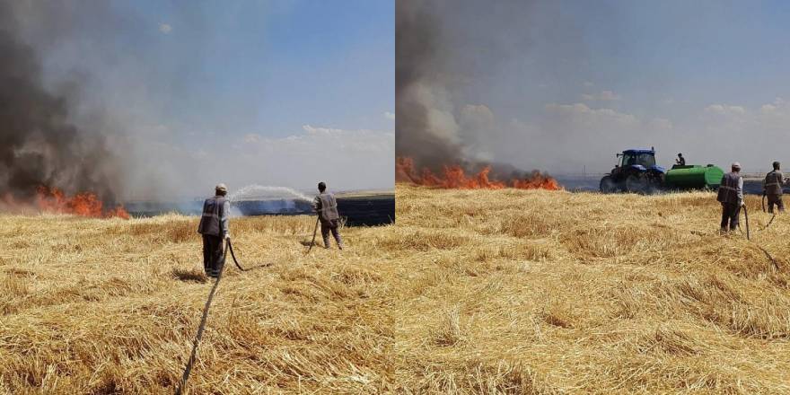 Diyarbakır’da yüzlerce dönüm arazi alevlere teslim oldu