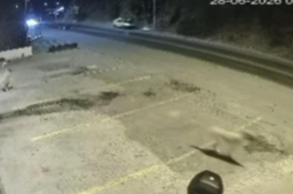 Bodrum'daki ölümlü kazanın güvenlik kamerası ortaya çıktı
