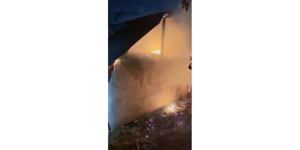 Bingöl’de arazi yangını eve sıçradı