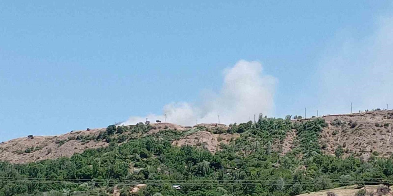 Elazığ’da arazi yangını