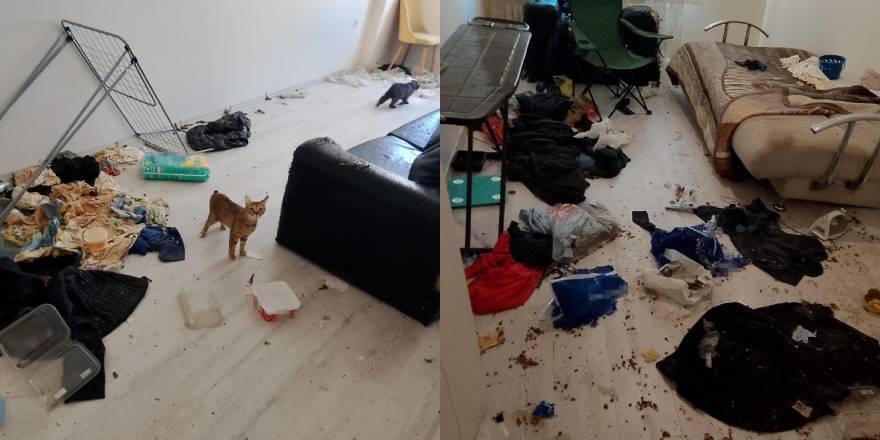 Komşuları taşınmak zorunda bırakan koku ihbarında şoke eden manzara