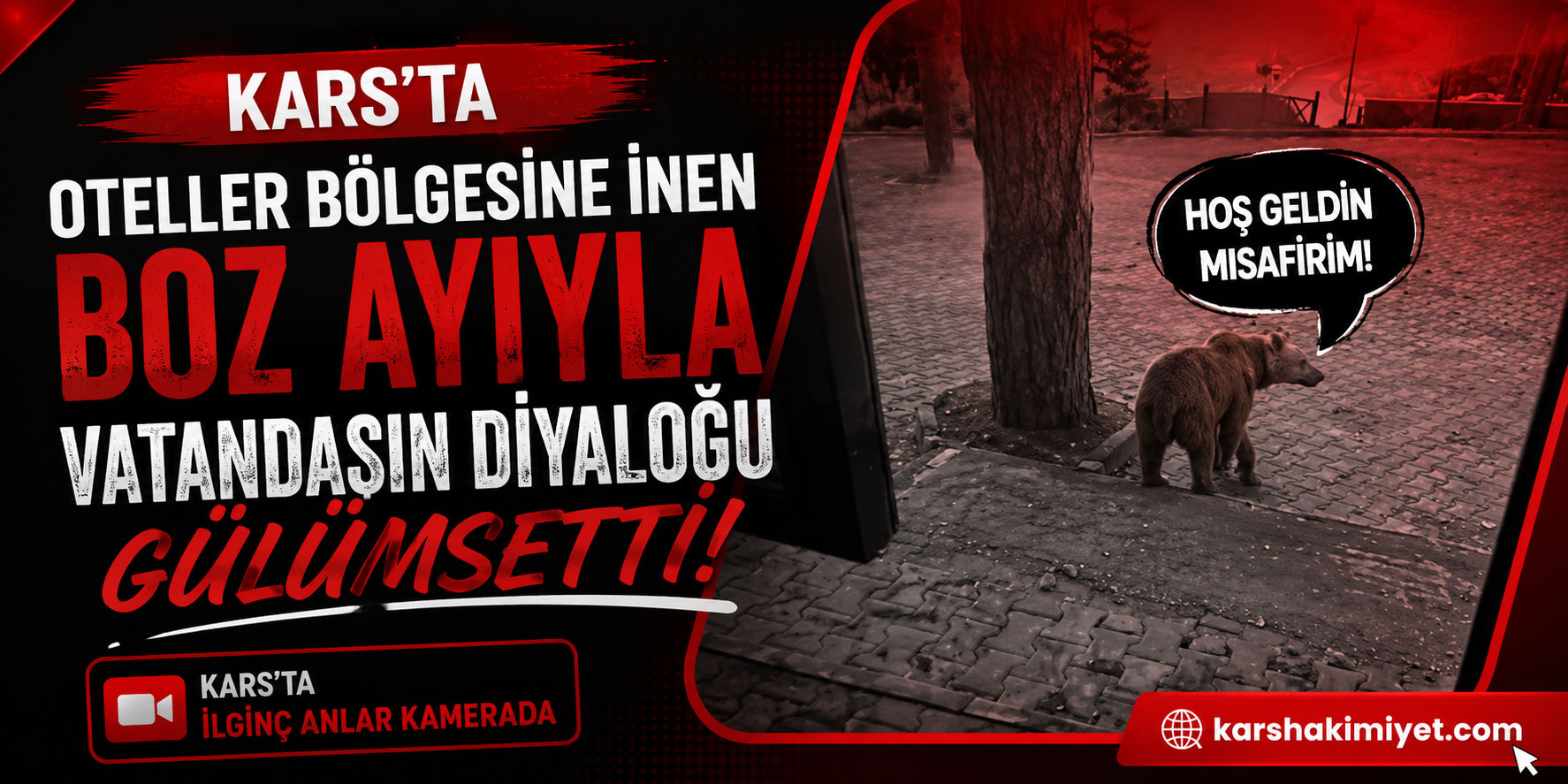 Kars’ta oteller bölgesine inen boz ayıyla vatandaşın diyaloğu gülümsetti