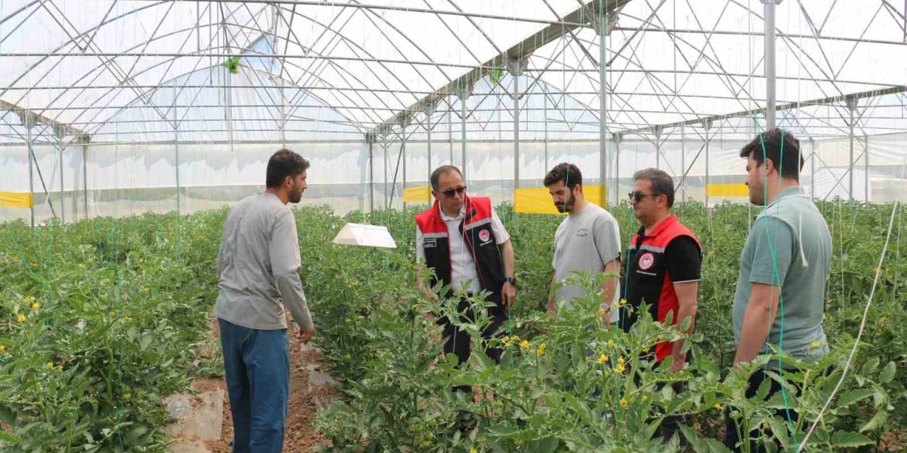 Erzincan’da seracılık faaliyetleri yerinde incelendi