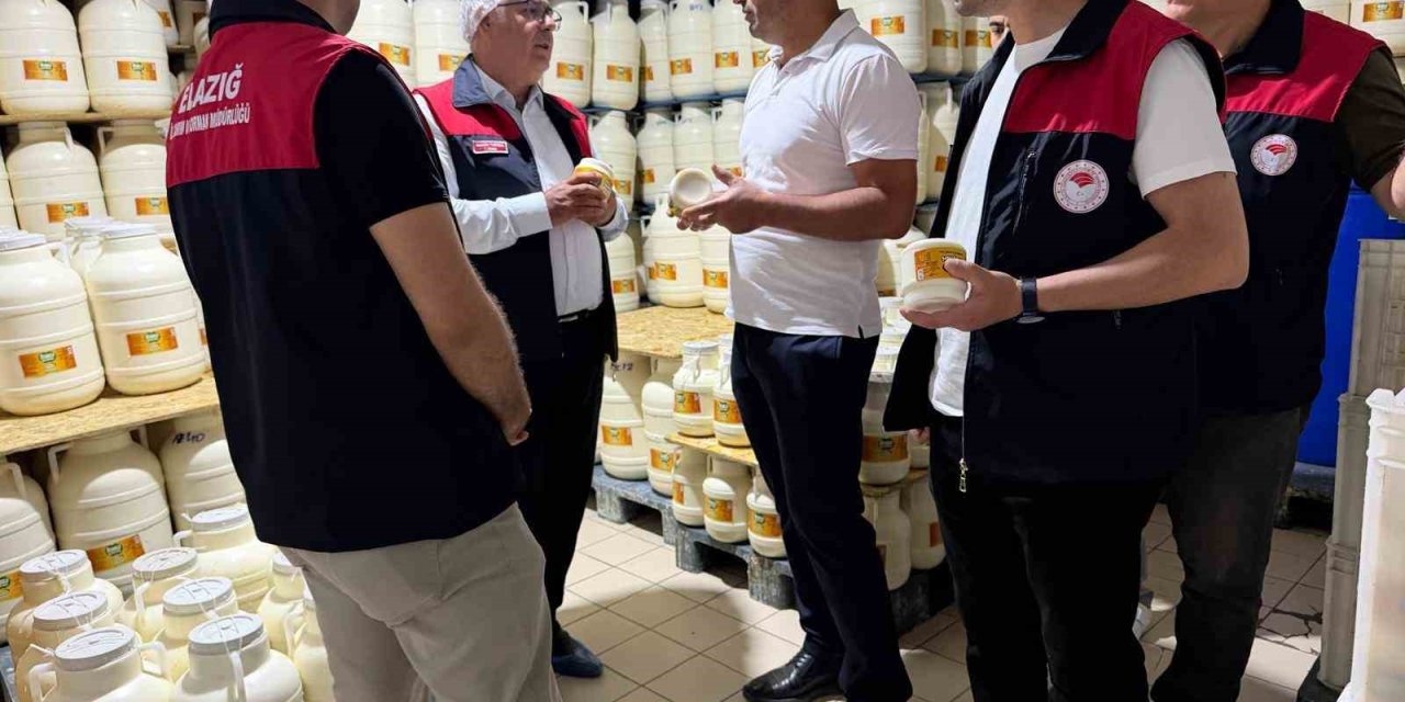 Elazığ’da tulum peynirinde üretim süreci yerinde incelendi