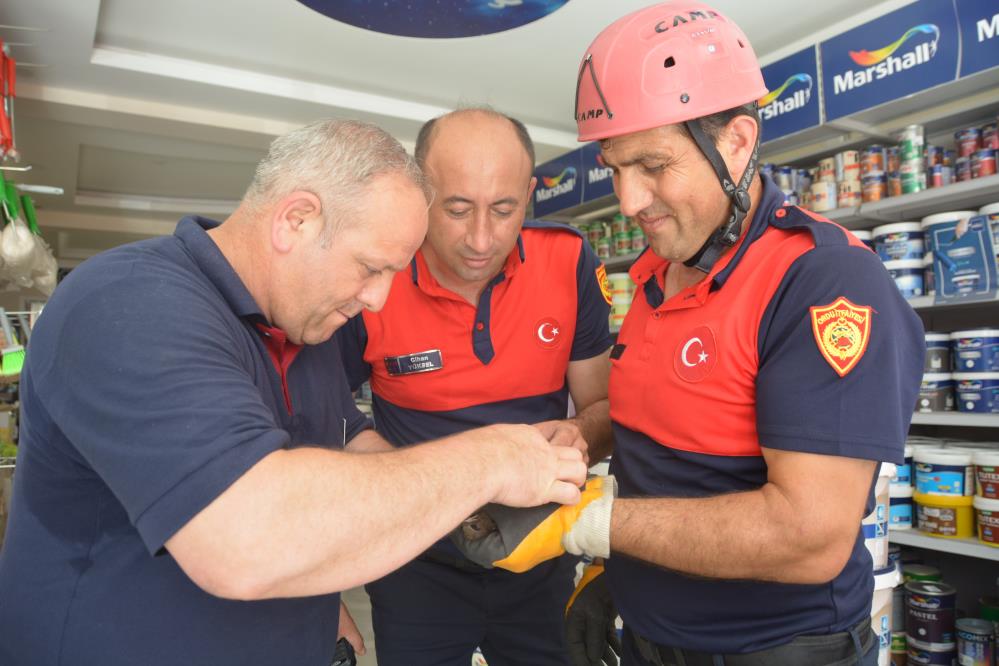 Çatıda mahsur kalan ebabil kuşunu itfaiye kurtardı