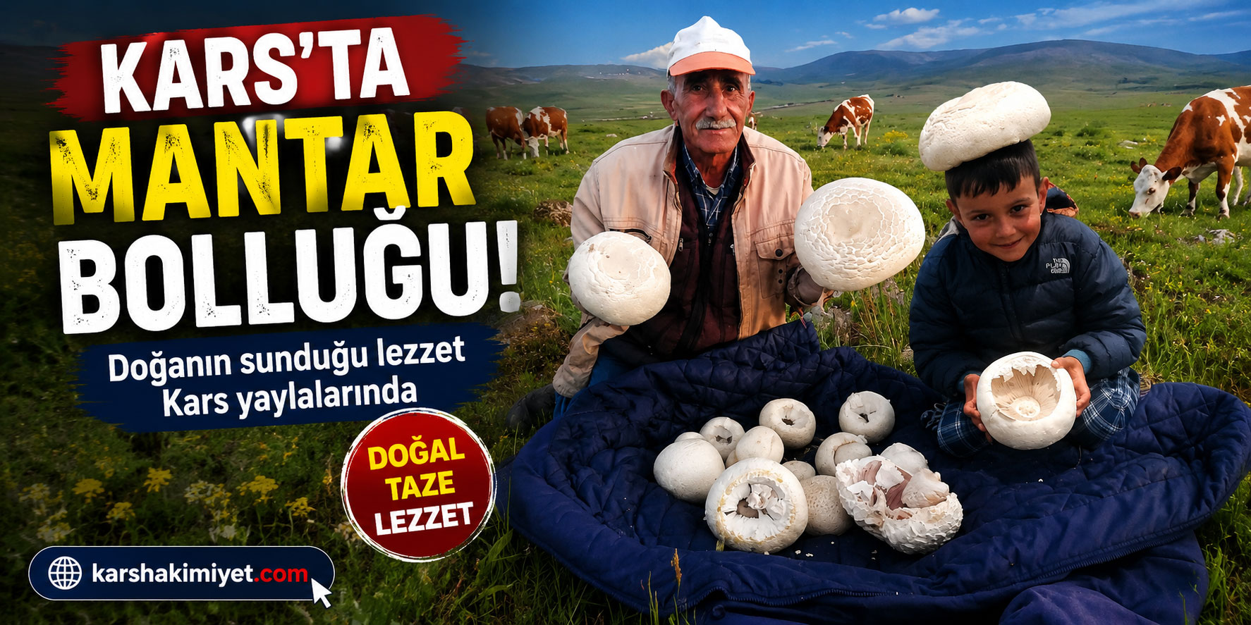 Kars'ta Mantar Bolluğu