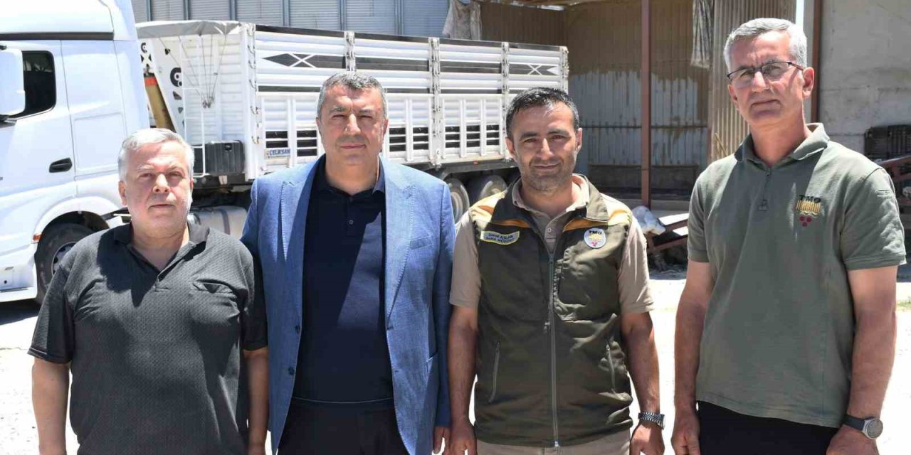 Malatya’da arpa ve buğday alımları sürüyor