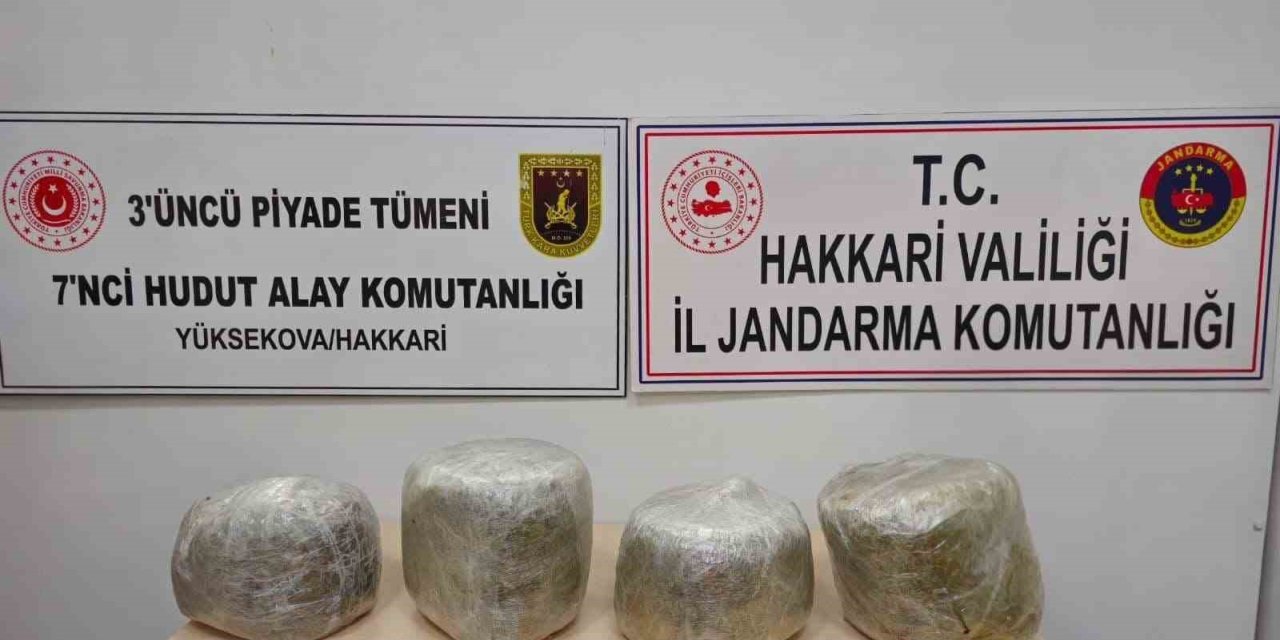 Yüksekova’da 11 kilo skunk ele geçirildi