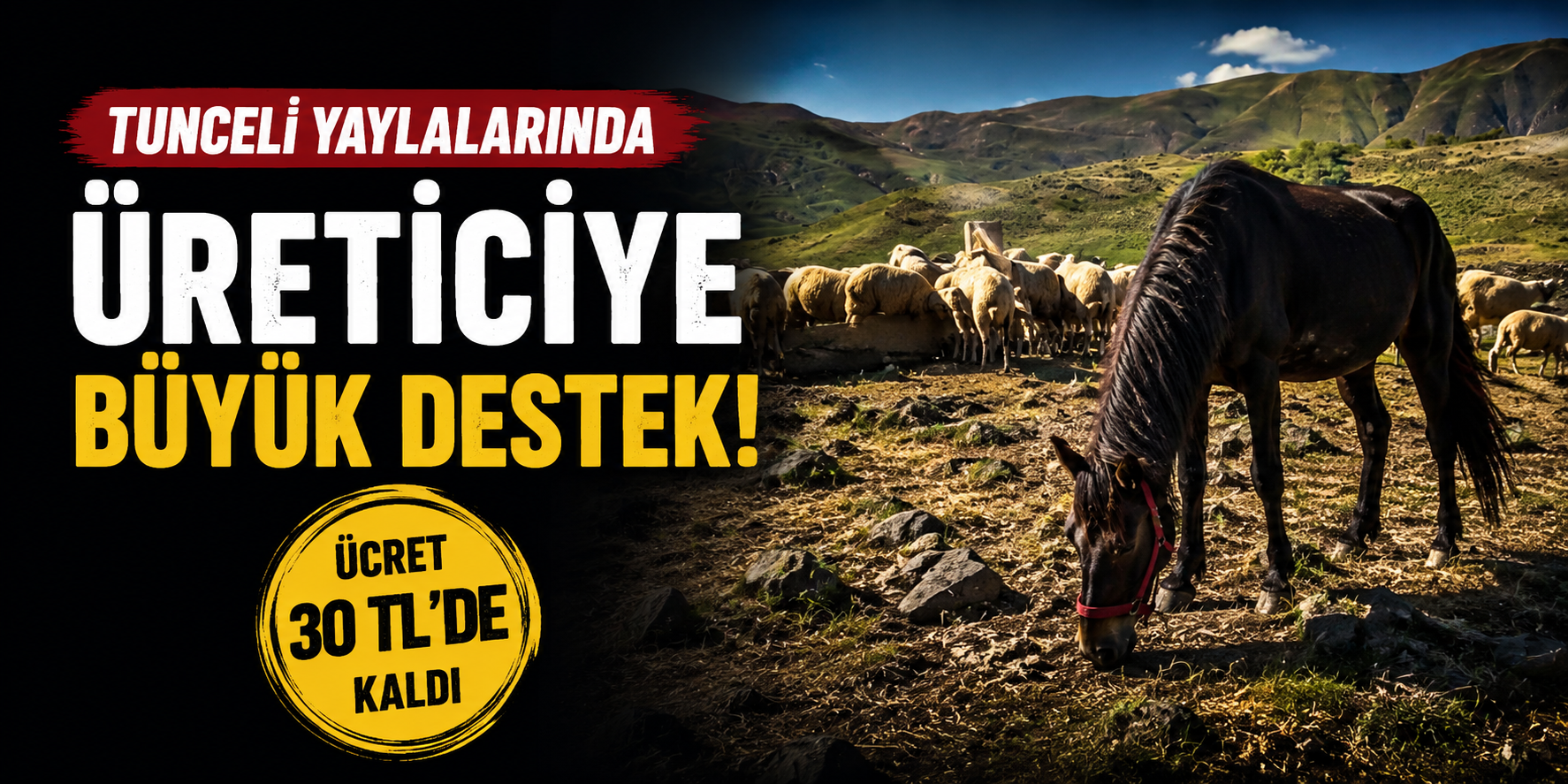 Tunceli Yaylalarında Üreticiye Büyük Destek: Ücret 30 TL'de Kaldı