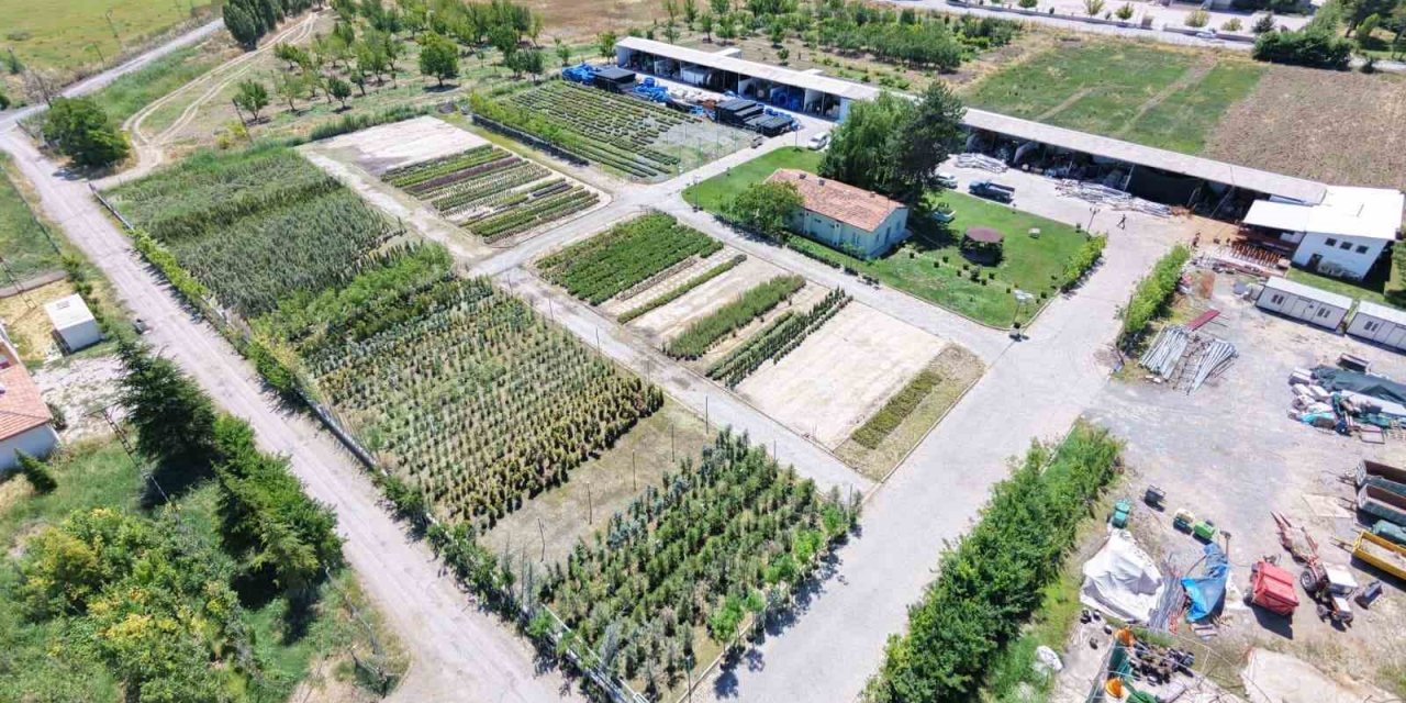 Battalgazi Belediyesi parklarda kendi üretimini kullanıyor