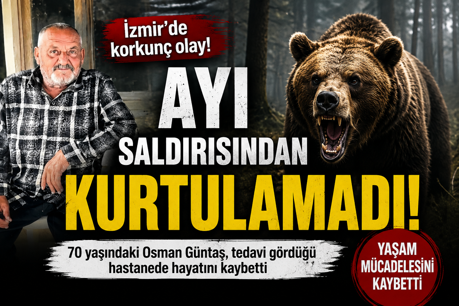 Ayı Saldırısından Kurtulamadı: Yaşam Mücadelesini Kaybetti