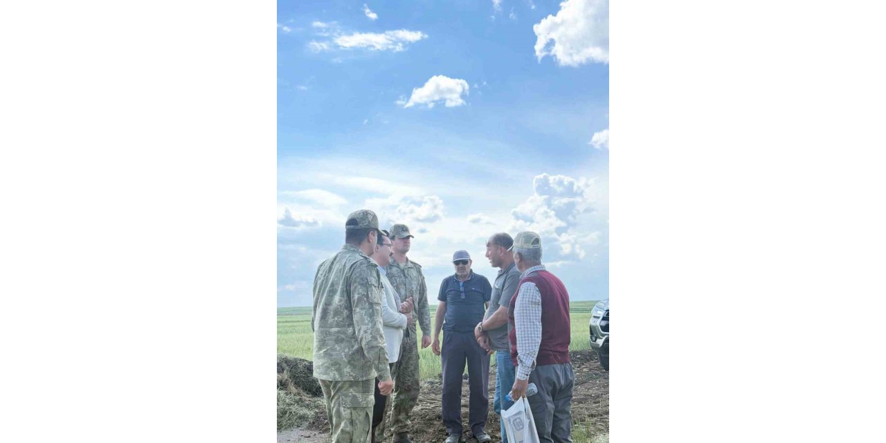 Kaymakam Demirtaş, sınır devriye yolu çalışmalarını yerinde inceledi