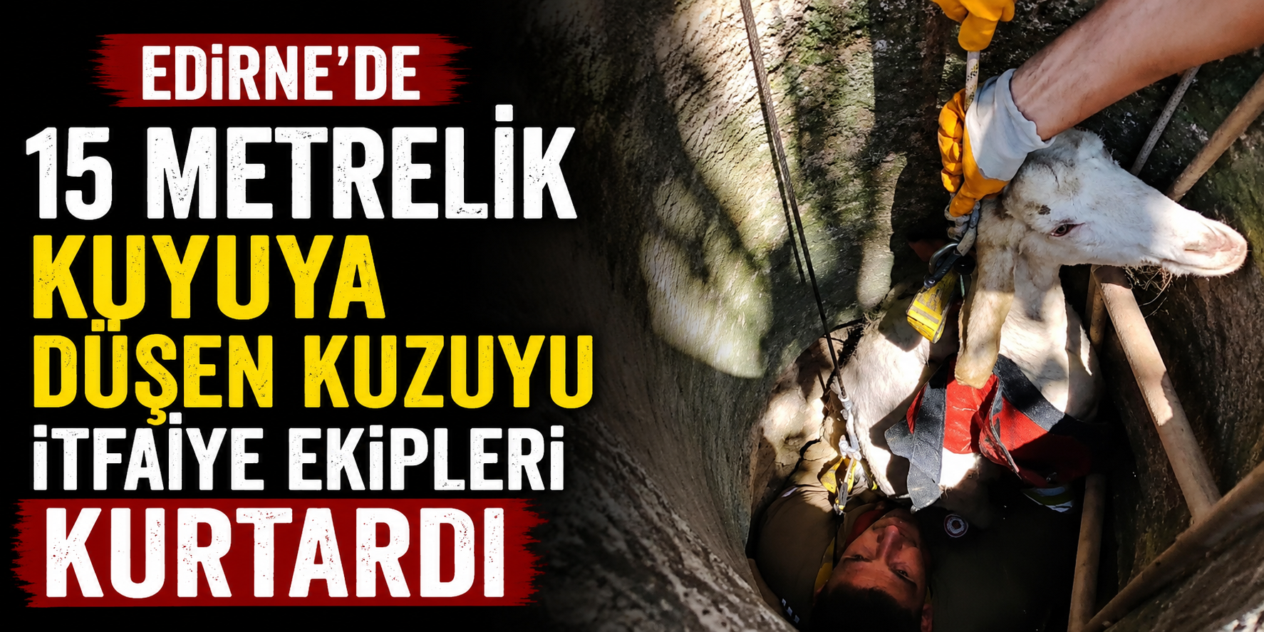 Edirne'de 15 metrelik kuyuya düşen kuzuyu itfaiye ekipleri kurtardı