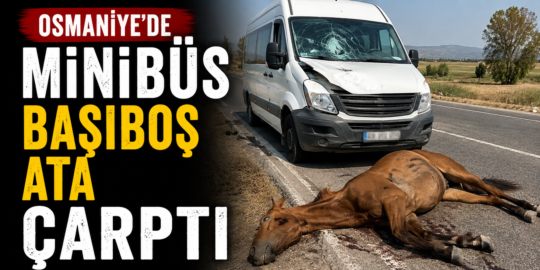 Osmaniye’de minibüs başıboş ata çarptı