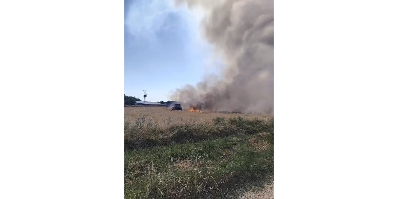 Elazığ’da arazi yangını