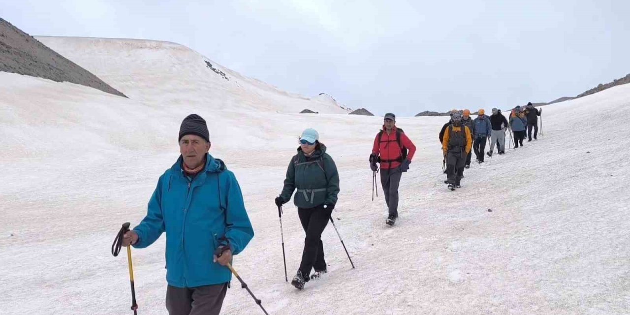 Vangölü aktivistlerinden Süphan Dağı zirvesinde ‘Van Gölü’ mesajı
