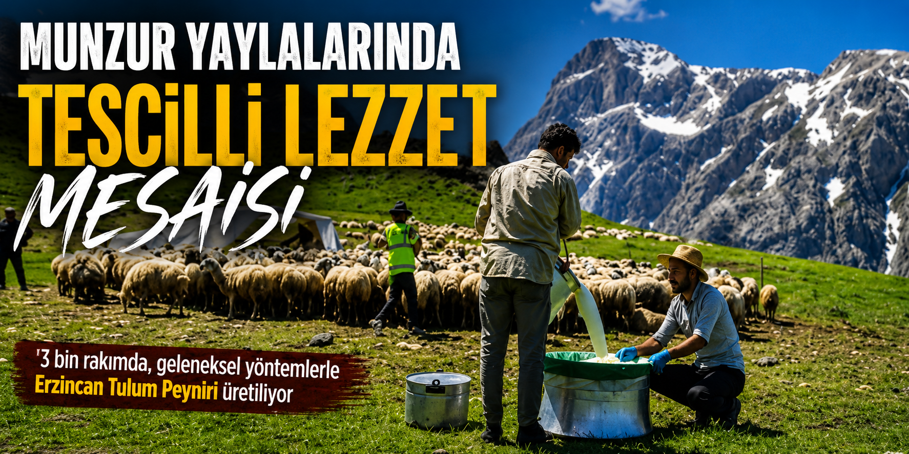 Munzur Yaylalarında Tescilli Lezzet Mesaisi