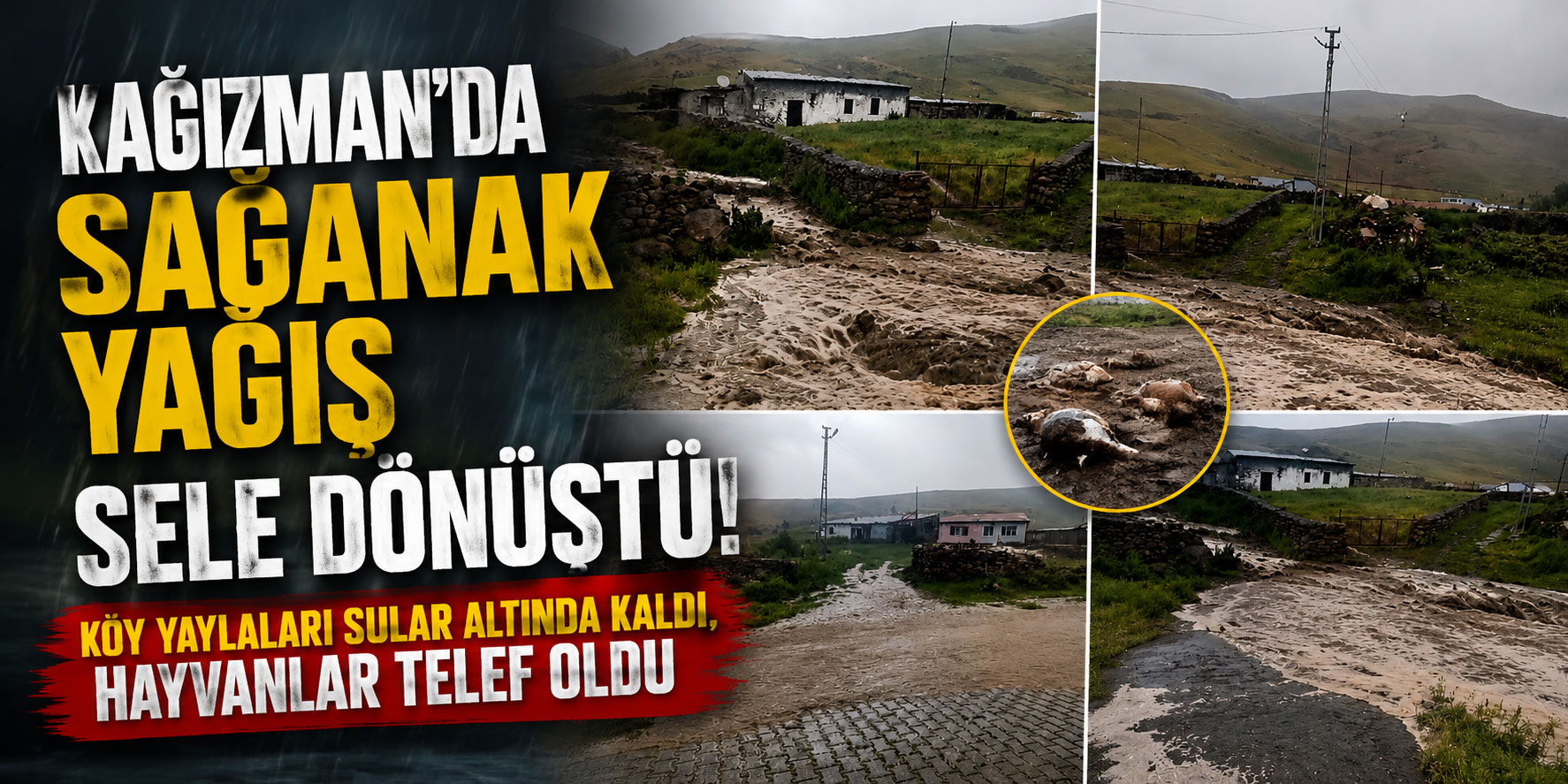 Kağızman'da Sağanak Yağış Sele Dönüştü: Köy Yaylaları Sular Altında Kaldı, Hayvanlar Telef Oldu