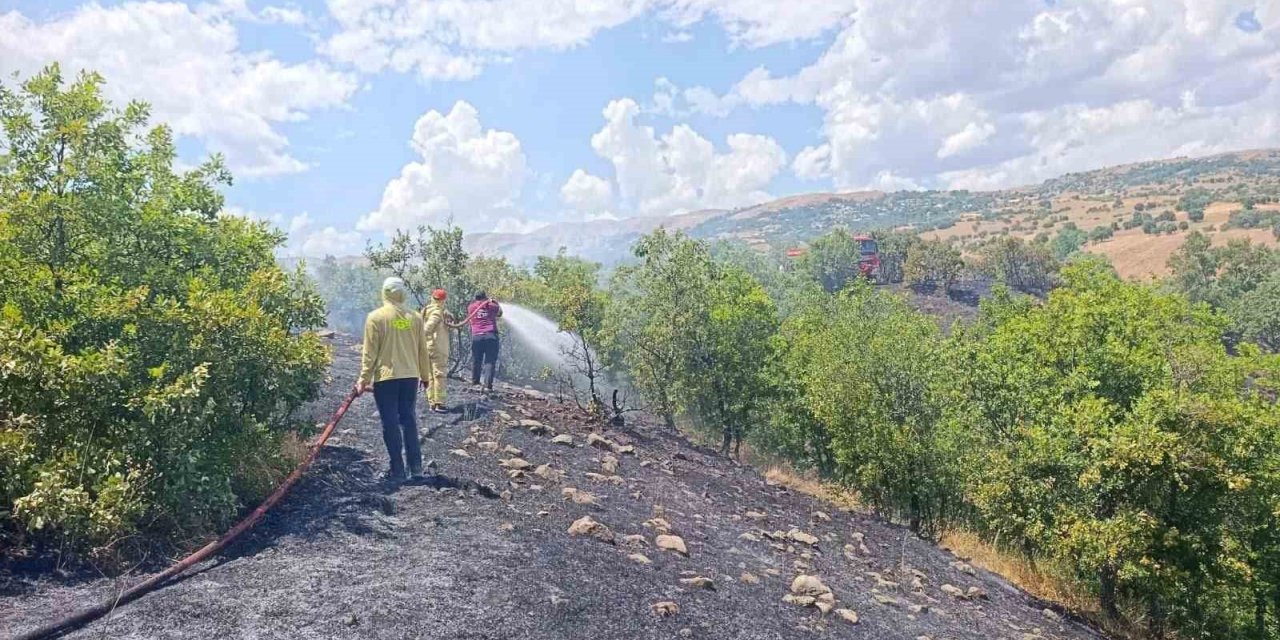 Bingöl’de orman yangını büyümeden söndürüldü
